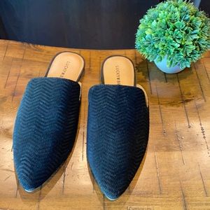 Lucky brand Brynnuh Mule